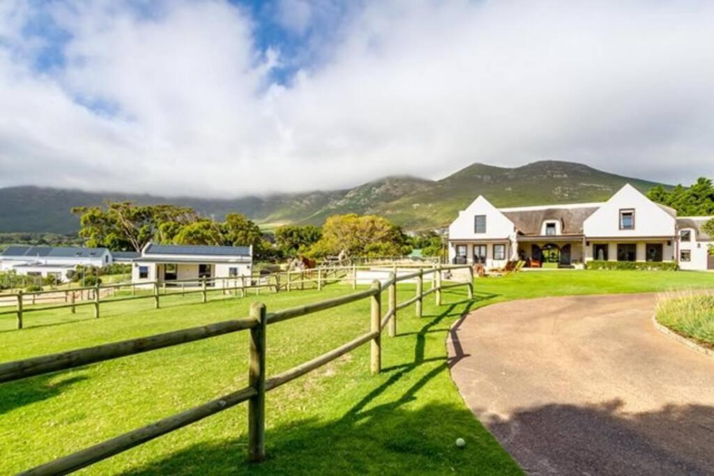 Serene, Thatched Apartment In Noordhoek, Kapstaden Exteriör bild