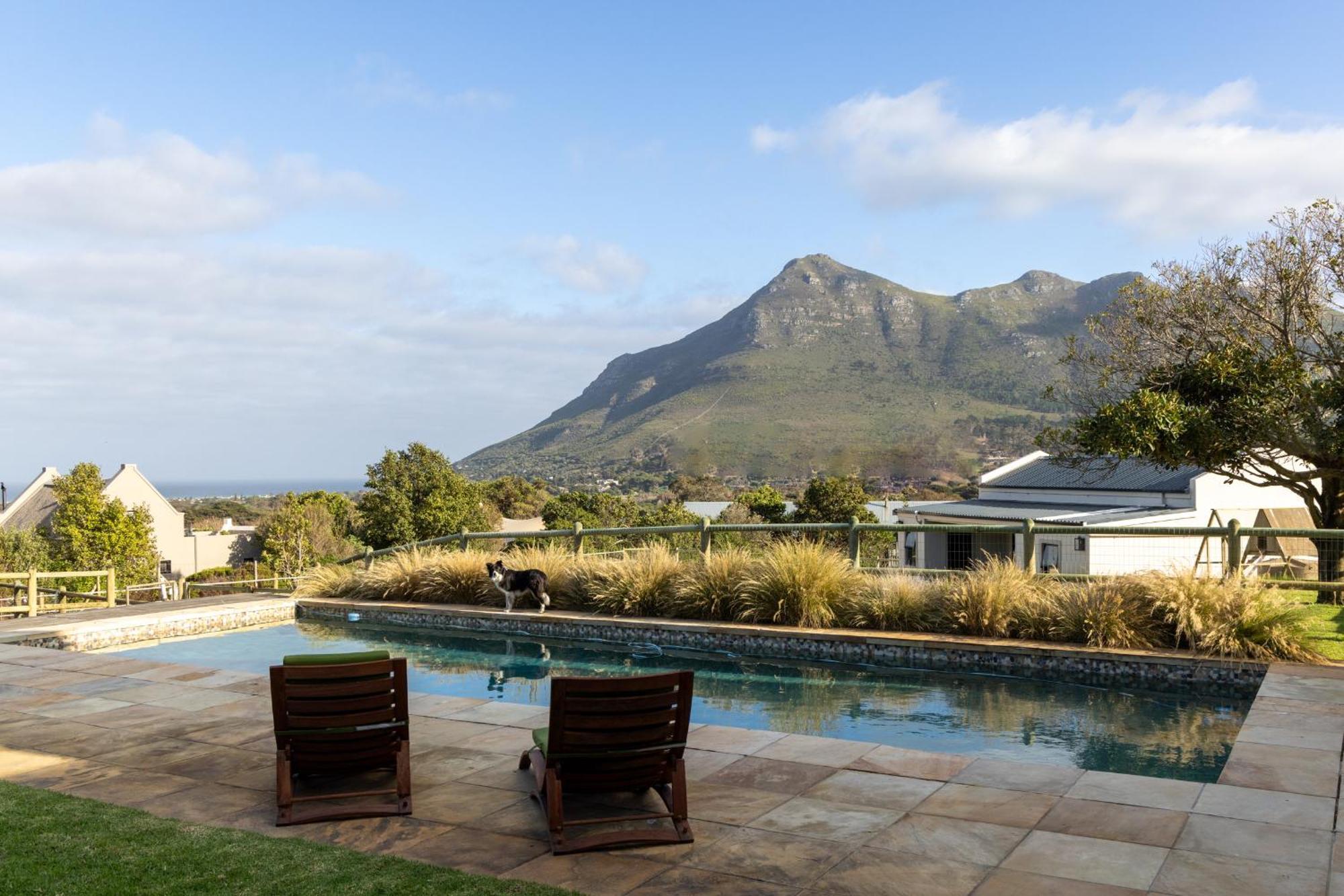 Serene, Thatched Apartment In Noordhoek, Kapstaden Exteriör bild