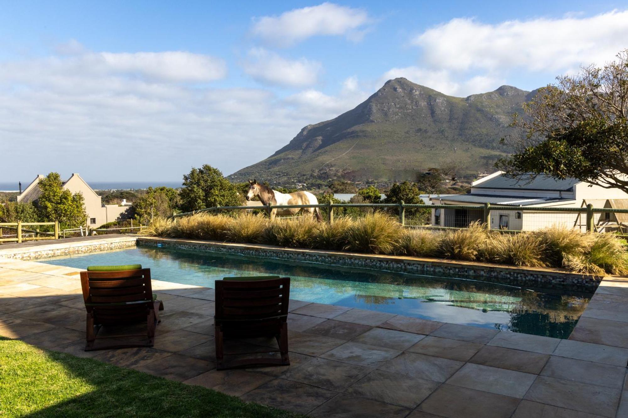 Serene, Thatched Apartment In Noordhoek, Kapstaden Exteriör bild